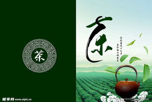 茶韻天成 喚醒心靈的清香之旅